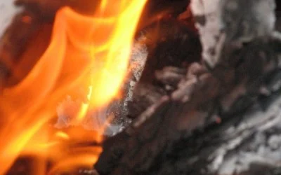 Fireplace ash and garden use