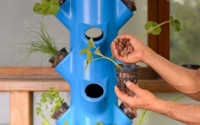Energy and nature connection