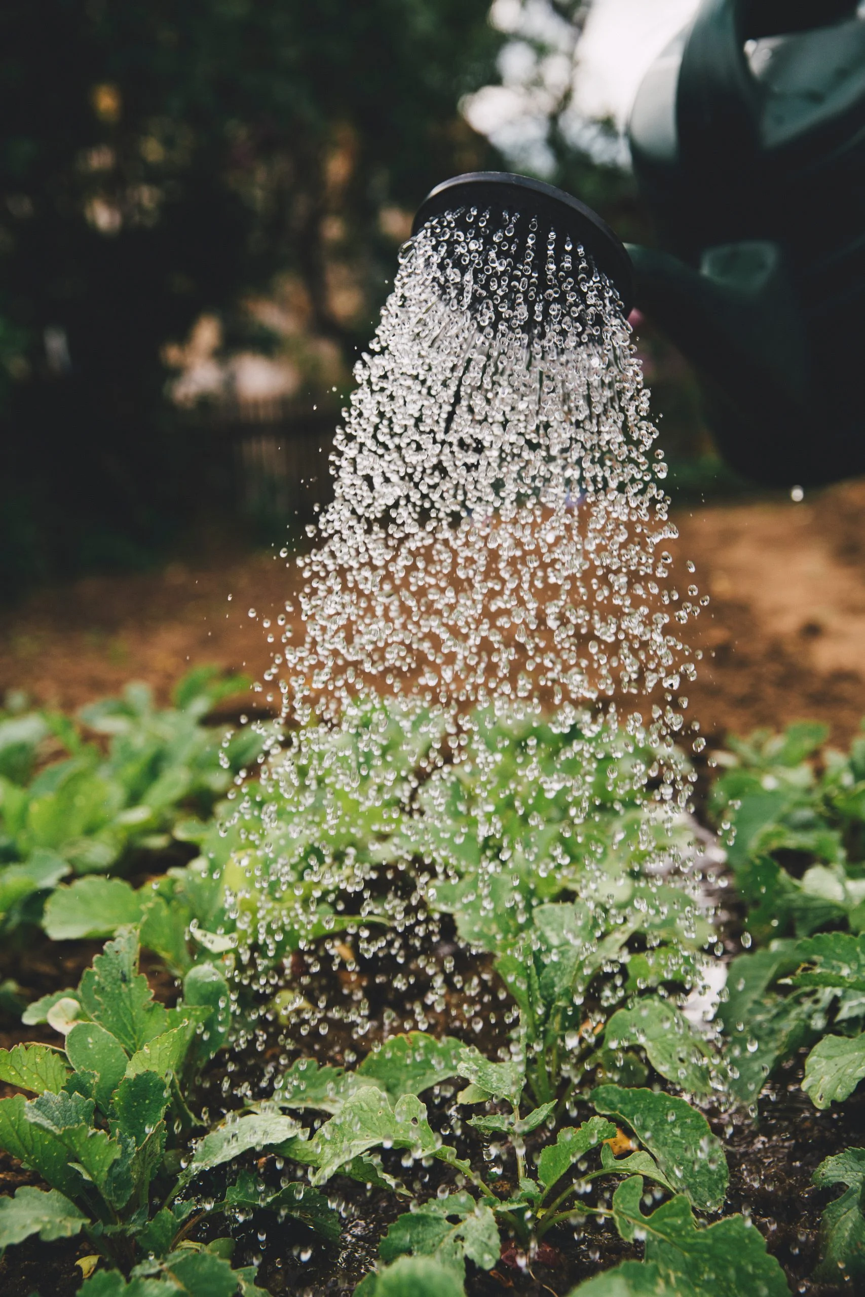 Water conservation
