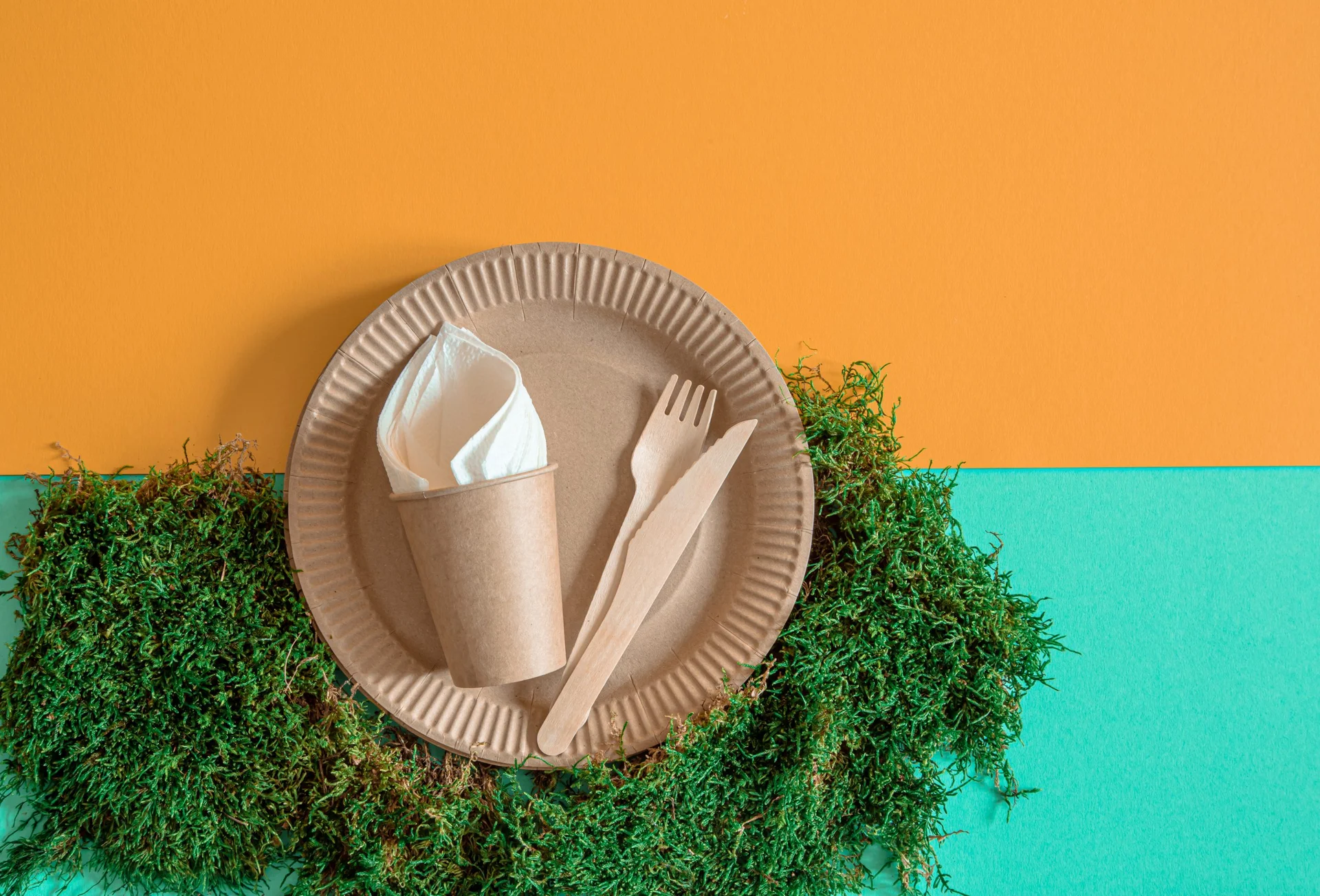 Eco-friendly disposable tableware