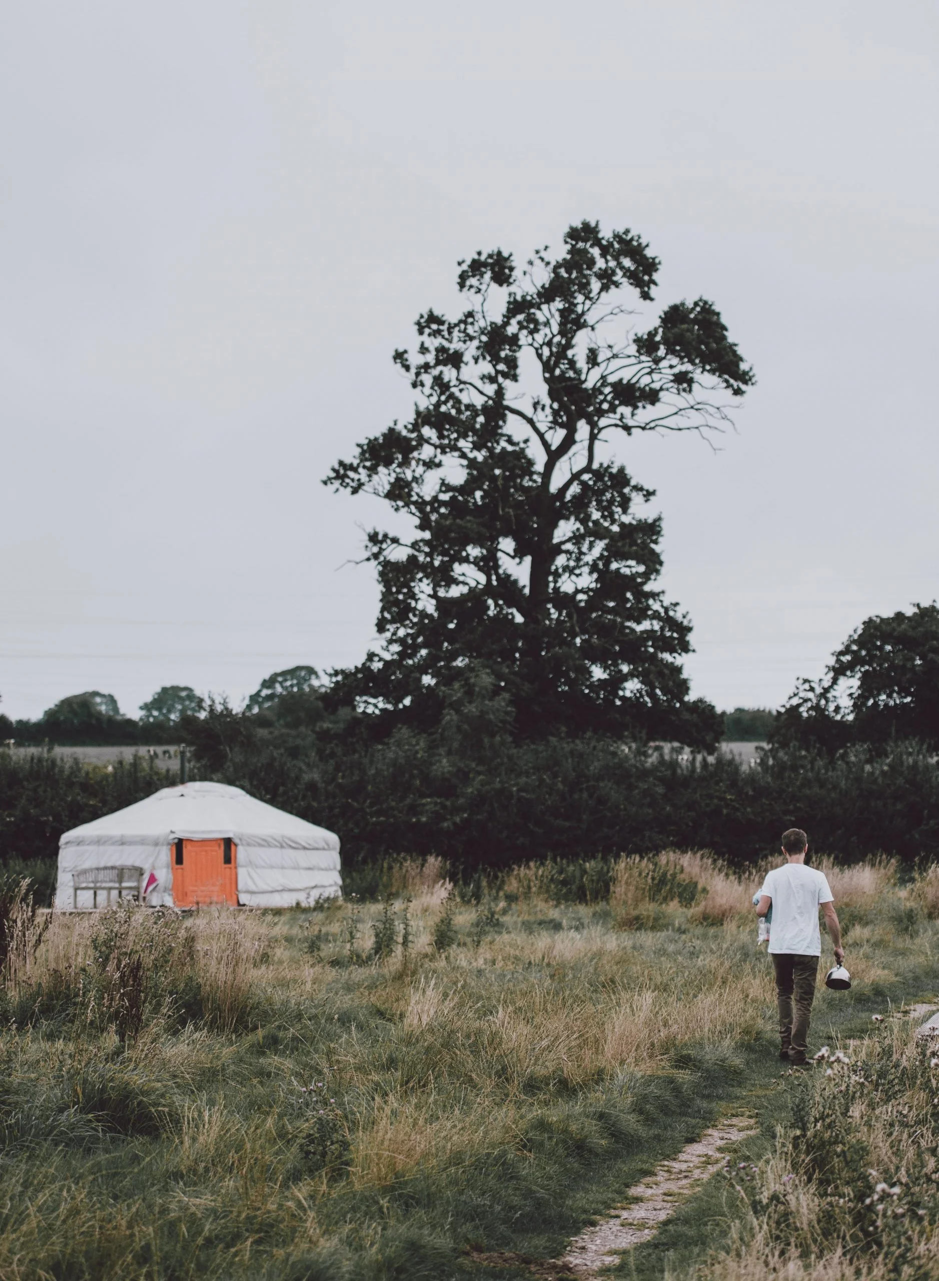 Traditional yurt in a natural landscape