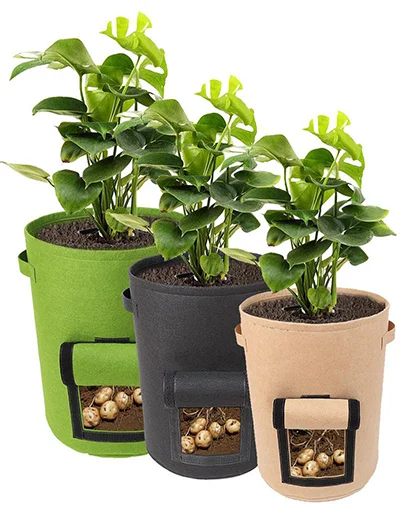 Grow bags with vegetables on a balcony