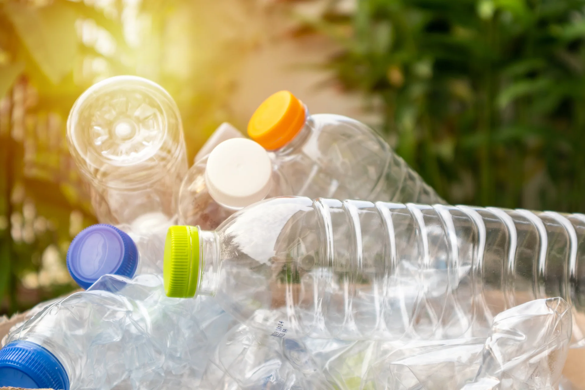 Environmental action in daily life